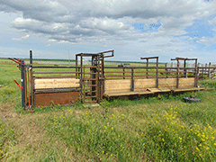 Portable Cattle Alleyway