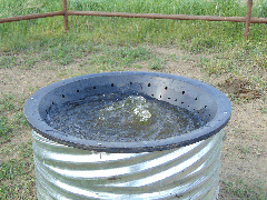 Solar Water Bowl